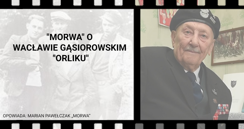 „Morwa” o Wacławie Gąsiorowskim „Orliku”